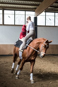 Bild 515 - Voltigierturnier